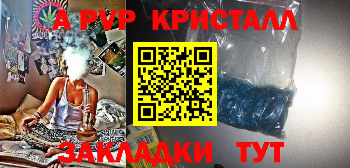 Alfa_PVP СК КРИС Губкин