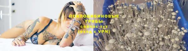 гидропоника Аркадак