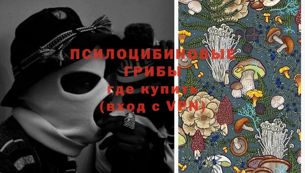гидропоника Аркадак