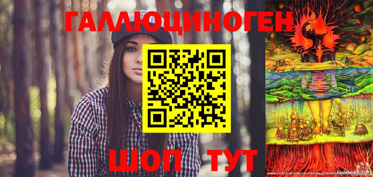 Псилоцибиновые грибы Psilocybe Губкин