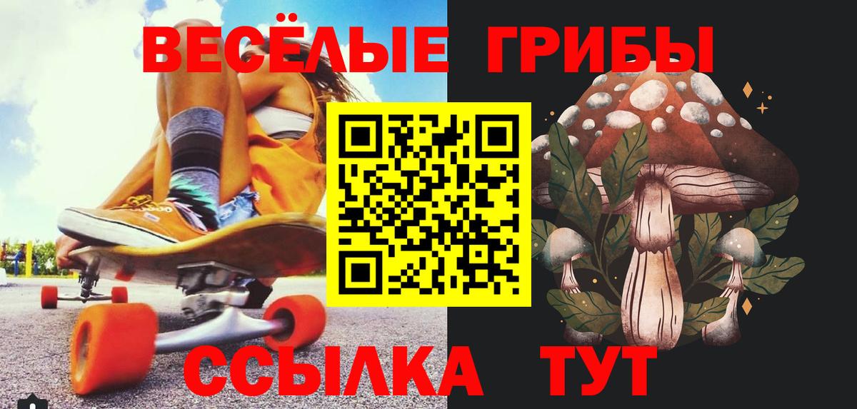 Губкин  Псилоцибиновые грибы мицелий  Псилоцибиновые грибы GOLDEN TEACHER  Вход с VPN 
